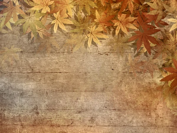 秋天的背景 — — 秋天的树叶 — 图库照片