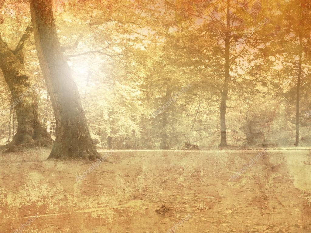 Vintage autumn landscape background — Stock Photo © doozie #57889867