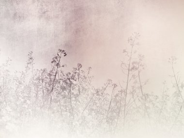 Romantik arka plan - vintage alan manzara