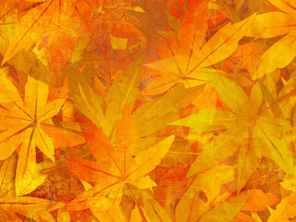 Осенний фон - узор осенних листьев — стоковое фото