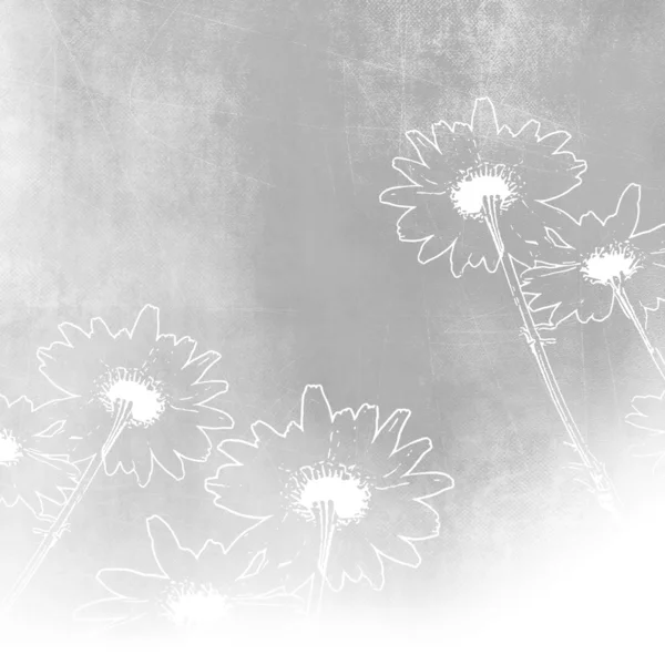 Soft vintage gray white flower background — Stock Photo, Image