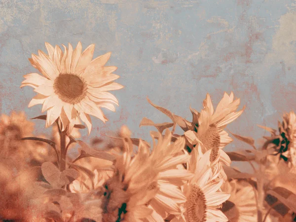 Retro Sonnenblumen Hintergrund — Stockfoto