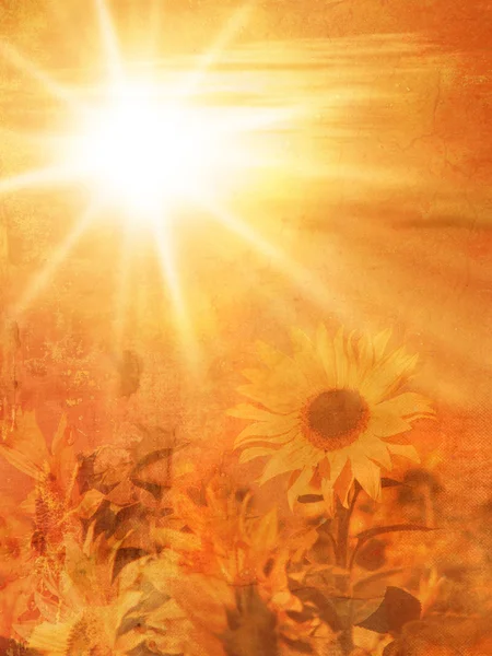 Natürlicher Herbsthintergrund mit Sonnenblumenfeld bei Sonnenuntergang im weichen Vintage-Stil - Spätsommerkonzept — Stockfoto