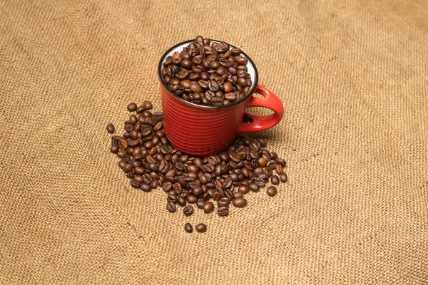 Eine Tasse mit Kaffeebohnen — Stockfoto