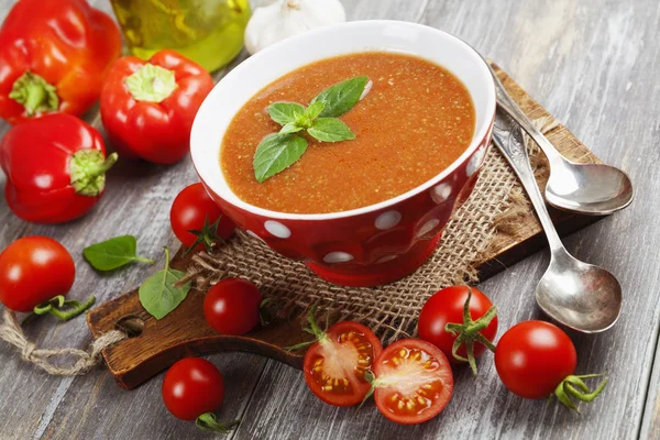 Gazpacho nella ciotola — Foto Stock