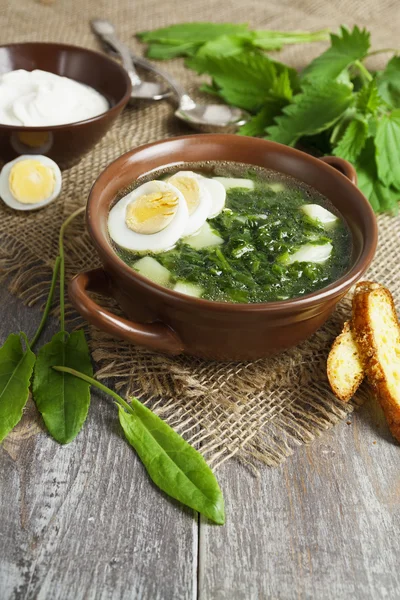 Suppe aus Sauerampfer und Brennnesseln mit Eiern — Stockfoto