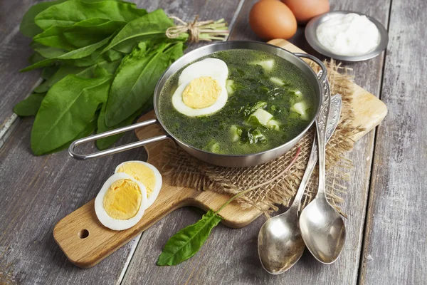 Sauerampfersuppe mit Ei — Stockfoto