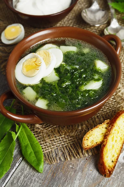 Soup of sorrel and nettles with eggs — Stock Photo, Image