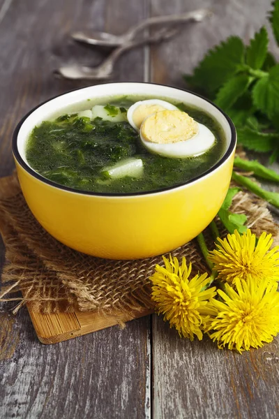 Soup of nettles with eggs — Stock Photo, Image