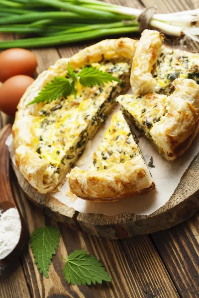 Tarta con ortigas y cebolla de primavera — Foto de Stock