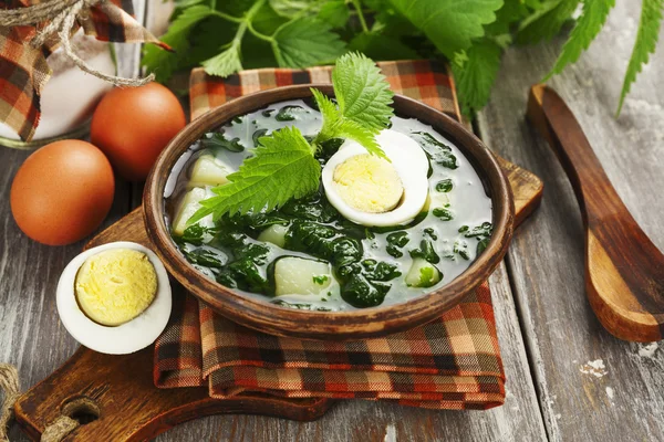 Soup of nettles — Stock Photo, Image