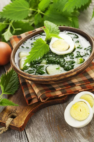 Soup of nettles — Stock Photo, Image