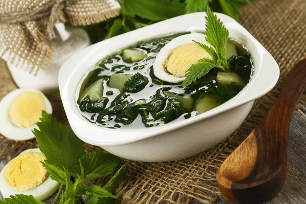 Soup of nettles — Stock Photo, Image