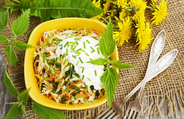 Brennnesselsalat mit Kraut — Stockfoto