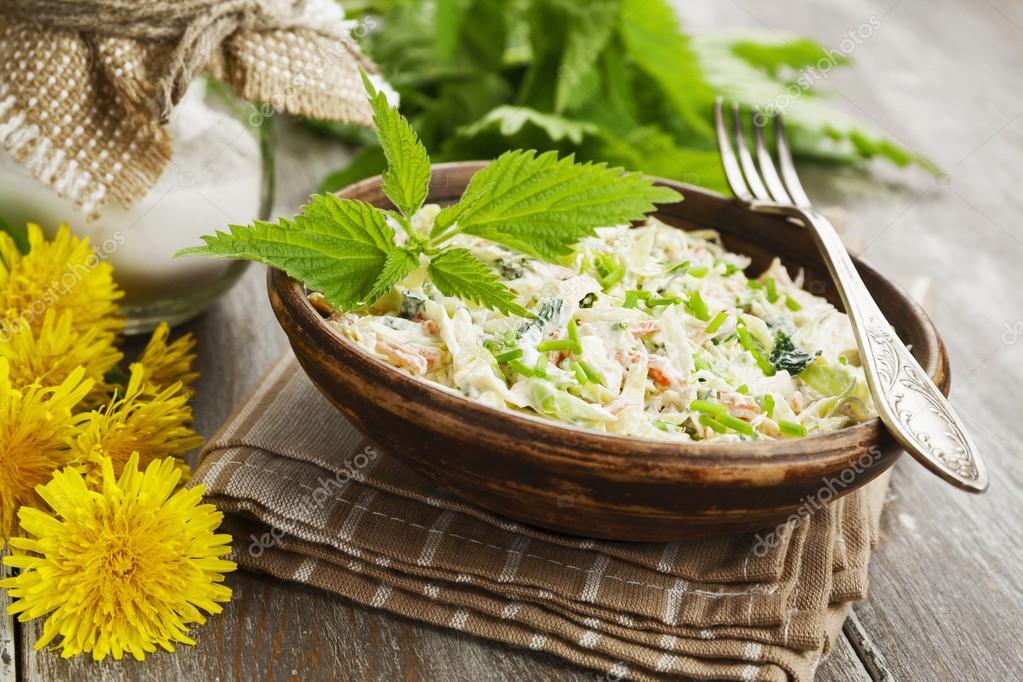Brennnesselsalat mit Kraut - Stockfotografie: lizenzfreie Fotos ...