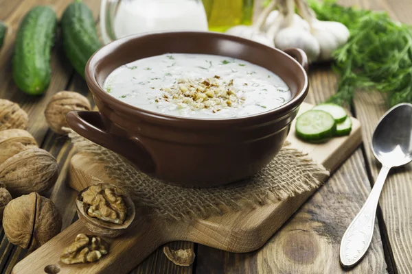 Tarator, sopa de leite azedo búlgaro — Fotografia de Stock