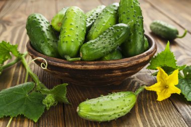 organik taze salatalık