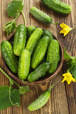 organik taze salatalık