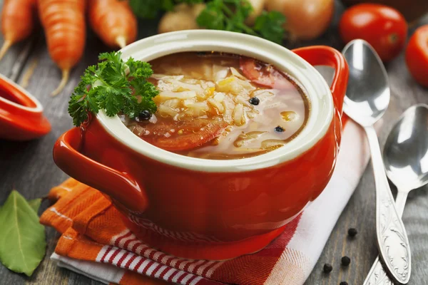 Zuppa di cavolo con carne — Foto Stock