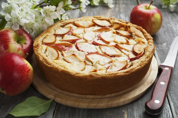 Torta de maçã. charlotte — Fotografia de Stock