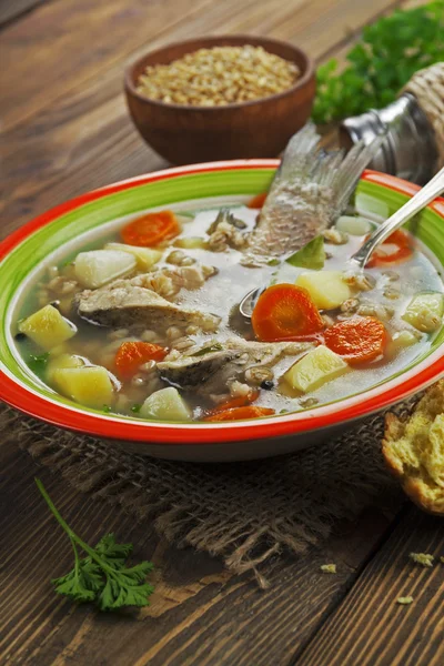 Homemade soup of river fish in the bowl — Stock Photo, Image