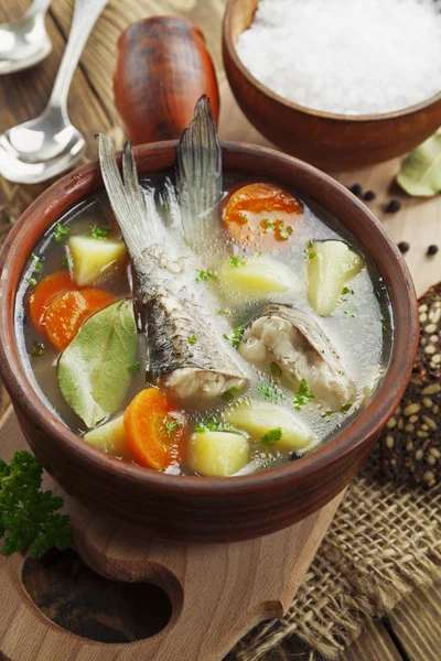 Sup buatan sendiri ikan sungai dalam mangkuk — Stok Foto