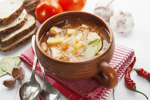 Cabbage soup — Stock Photo, Image