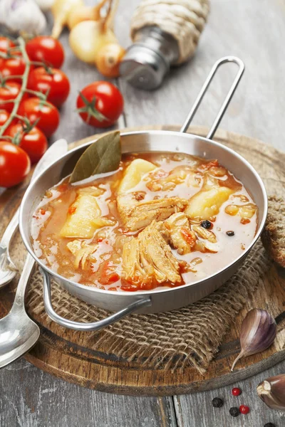 卷心菜和肉的汤 — 图库照片