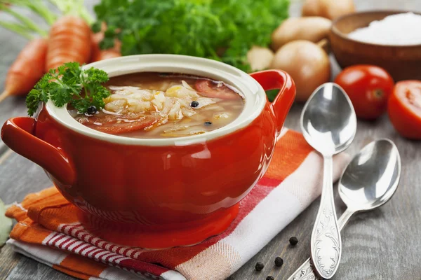 Sopa de col con carne —  Fotos de Stock