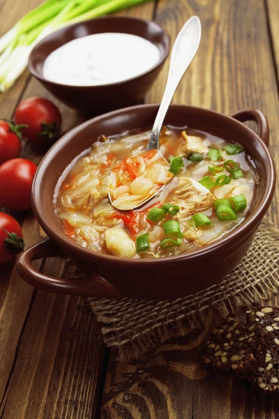キャベツと肉のスープ — ストック写真