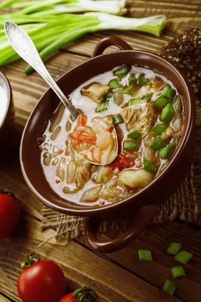 Suppe mit Kohl und Fleisch — Stockfoto