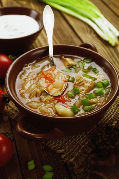 Суп с капустой и мясом — стоковое фото