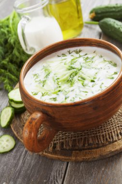 salatalık, yoğurt ve taze otlar ile yaz çorbası