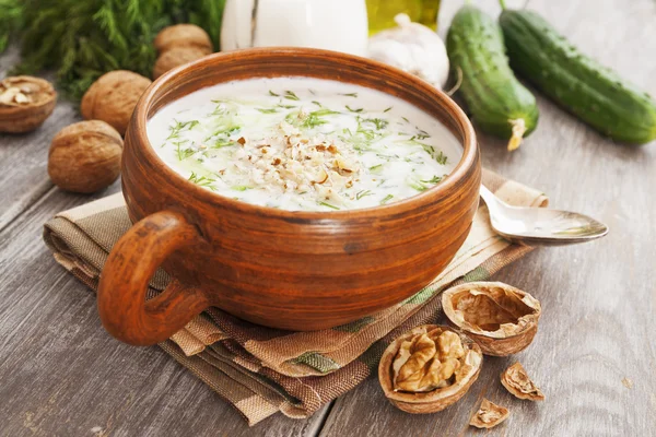 Tarator, bułgarski mleczne zupy — Zdjęcie stockowe