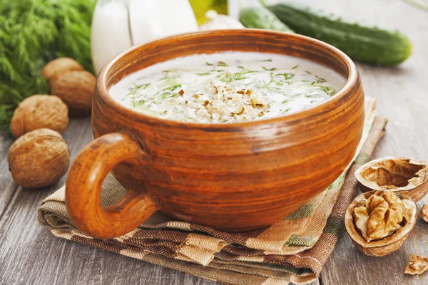 Tarator, sopa de leche agria bulgara — Foto de Stock