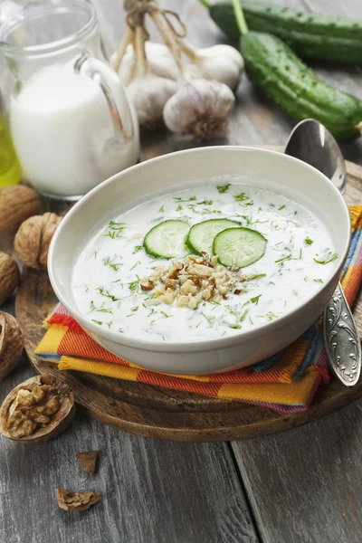 Tarator, bulgarische Sauermilchsuppe — Stockfoto