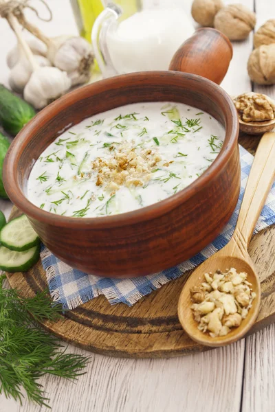 Tarator, bulgarische Sauermilchsuppe — Stockfoto