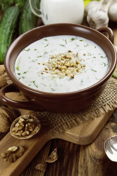 Tarator, sopa de leite azedo búlgaro — Fotografia de Stock