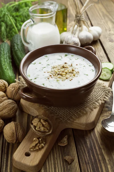 Tarator, bulgarische Sauermilchsuppe — Stockfoto