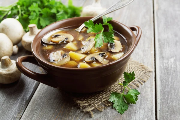 Zuppa di funghi con champignons — Foto Stock