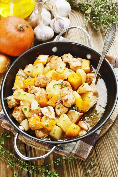 Estofado de pollo con calabaza, patatas y especias — Foto de Stock