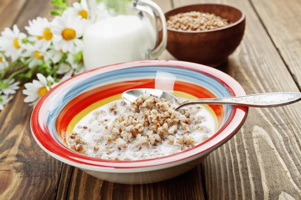 Buckwheat porridge with milk — Stock Photo, Image