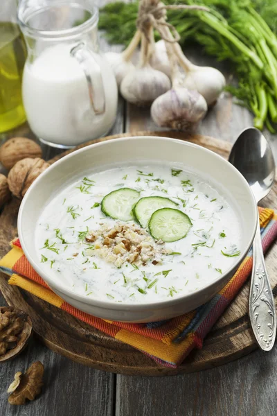 タラトル ブルガリア酸っぱい牛乳スープ — ストック写真