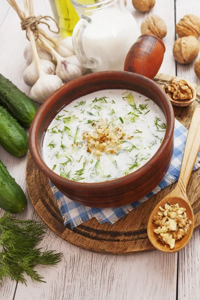 Tarator, sopa de leite azedo búlgaro — Fotografia de Stock