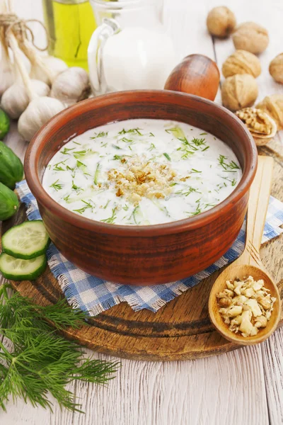 タラトル ブルガリア酸っぱい牛乳スープ — ストック写真