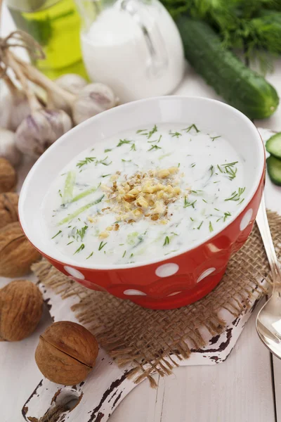 Tarator, soupe au lait aigre bulgare — Photo