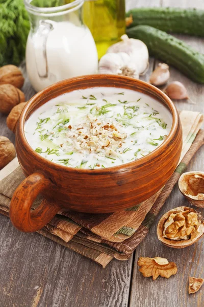 Tarator, sopa de leite azedo búlgaro — Fotografia de Stock