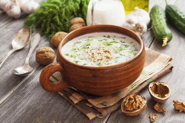 Tarator, sopa de leche agria bulgara —  Fotos de Stock