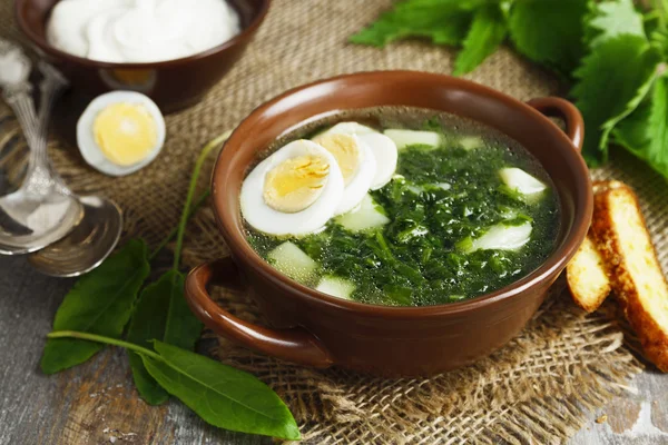 Суп з щавлю і кропиви з яйцями — стокове фото