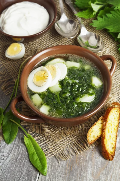 Sopa de azeda e urtigas com ovos — Fotografia de Stock